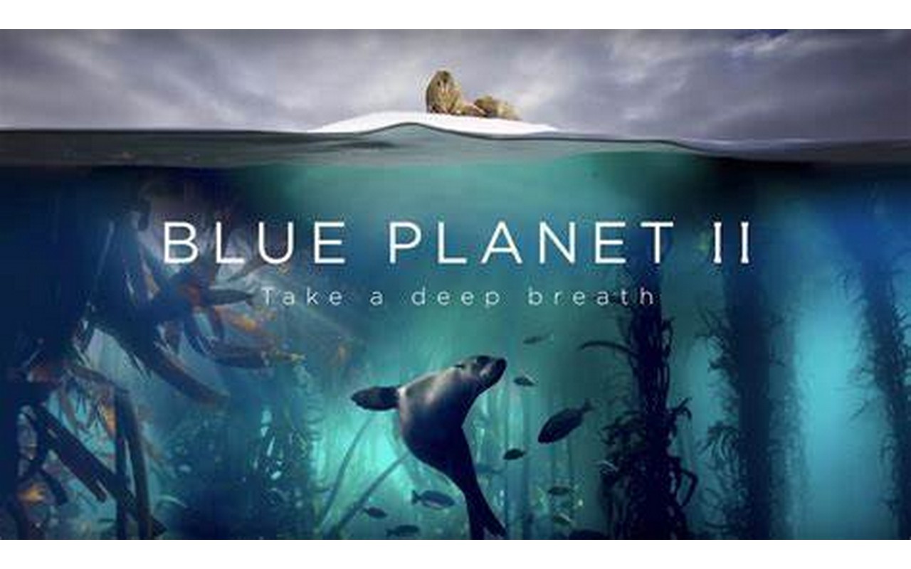 l103 蓝色星球2/蓝色星球II/蓝色星球第二季 Blue Planet Season 2? 蓝色星球2(2017)|容量142GB|7集全集.4K完美中字.高清珍藏版.2017BBC纪录片|2022年09  月03号更新